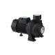 Насос поверхневий поливальний Pumpman TGA1C Нmax 15 м Qmax 30 куб.м 2