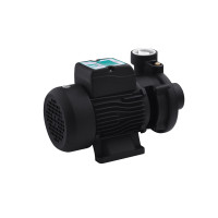 Насос поверхневий поливальний Pumpman 2DK20 Нmax 17 м Qmax 27 куб.м 2